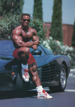 画像をギャラリービューアに読み込む, トップビルダー写真集