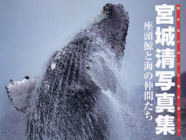 宮城清写真集　座頭鯨と海の仲間たち